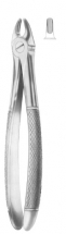  Fig. 103 upper canines 